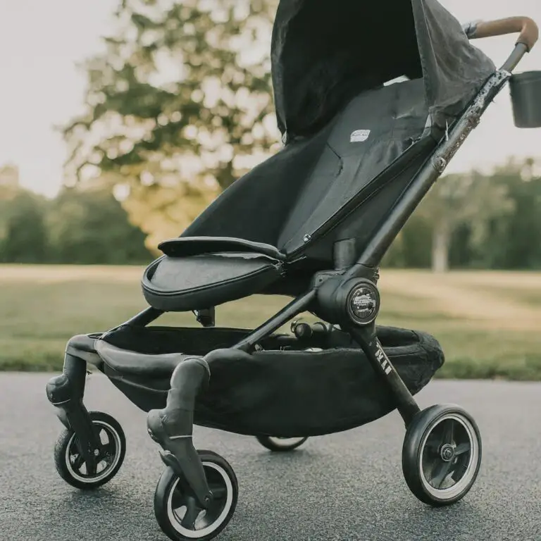 Stanley in a stroller