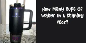 How Many Cups Of Water In A Stanley 40oz?