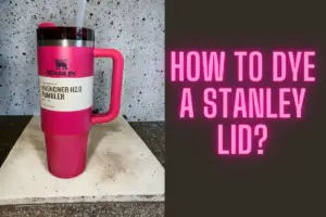 How To Dye A Stanley Lid?