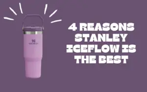 4 Reasons Stanley Iceflow Is The Best