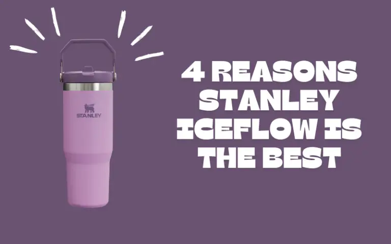 4 Reasons Stanley Iceflow Is The Best