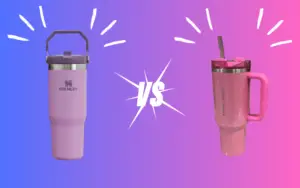 The Stanley Quencher vs. The Ice Flow Flip Straw